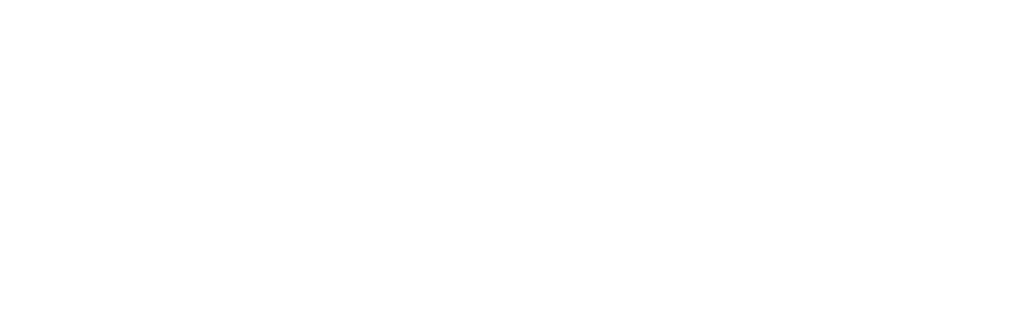 VivaTech